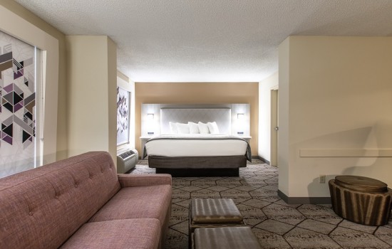 Welcome To Wingate by Wyndham Concord Charlotte Area Hotel - King Room