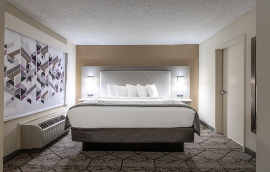 Welcome To Wingate by Wyndham Concord Charlotte Area Hotel - King Room