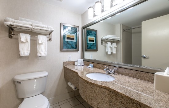 Welcome To Wingate by Wyndham Concord Charlotte Area Hotel - Private Bathroom