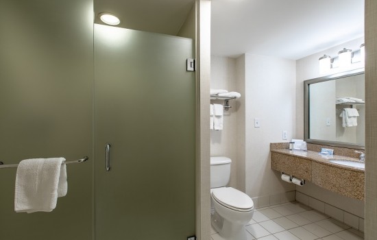 Welcome To Wingate by Wyndham Concord Charlotte Area Hotel - Private Bathroom