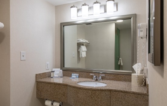 Welcome To Wingate by Wyndham Concord Charlotte Area Hotel - Vanity Area